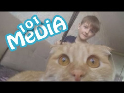 Приколы 2017 МАЙ про животных смешные животные коты и кошки собаки котята мои питомцы моя собака Приколы 2017 МАЙ про животных смешные животные коты и кошки собаки котята мои питомцы моя собака