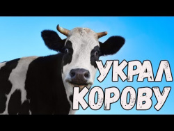 Приколы с животными 2017 Ну очень смешные животные Украл корову Новые видео приколы июль Приколы с животными 2017 Ну очень смешные животные Украл корову Новые видео приколы июль