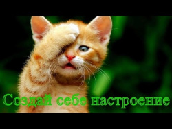 Смешное видео о животных Позитив для детей Прикольное видео Создай себе хорошее настроение Смешное видео о животных Позитив для детей Прикольное видео Создай себе хорошее настроение