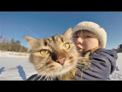 Прикольные видео с животными 2018 Милые и забавные собаки и кошки Крутая подборка про животных Прикольные видео с животными 2018 Милые и забавные собаки и кошки Крутая подборка про животных