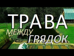 КАК УБРАТЬ ТРАВУ МЕЖДУ ГРЯДОК | Дача | Огород | Трава | Между Грядок КАК УБРАТЬ ТРАВУ МЕЖДУ ГРЯДОК | Дача | Огород | Трава | Между Грядок