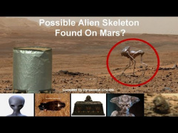 Possible Alien Skeleton Found On Mars? Possible Alien Skeleton Found On Mars?