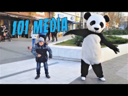 Видео с животными Приколы с животными 2018 Смешные животные 3 МИНУТЫ ПОЗИТИВА UHD Видео с животными Приколы с животными 2018 Смешные животные 3 МИНУТЫ ПОЗИТИВА UHD