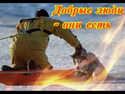 Про животных Спасение животных Про животных Спасение животных