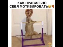 Как правильно себя мотивировать Как правильно себя мотивировать