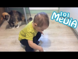 Смешные МОМЕНТЫ из мира животных коты кошки и дети милые и позитивные новый выпуск от 20.05.2017 Смешные МОМЕНТЫ из мира животных коты кошки и дети милые и позитивные новый выпуск от 20.05.2017