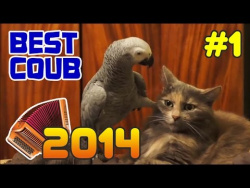 ЛУЧШИЕ БАЯНЫ 2014 ГОДА #1 ЛУЧШИЕ БАЯНЫ 2014 ГОДА #1
