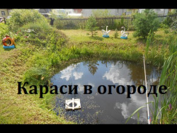 Пруд на даче. Пруд на даче.