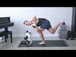 КОТОЙОГА | ЙОГА ЧЕЛЛЕНДЖ С КОТАМИ | Koshkina YOGA CHALLENGE | Cat Yoga Challenge КОТОЙОГА | ЙОГА ЧЕЛЛЕНДЖ С КОТАМИ | Koshkina YOGA CHALLENGE | Cat Yoga Challenge