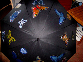 зонтик с бабочками