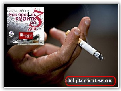 Как я бросал курить поэтапно Как я бросал курить поэтапно