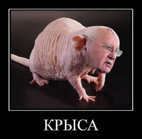 У врага такая же прическа У врага такая же прическа