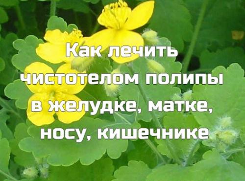 Рецепты при полипе желудка