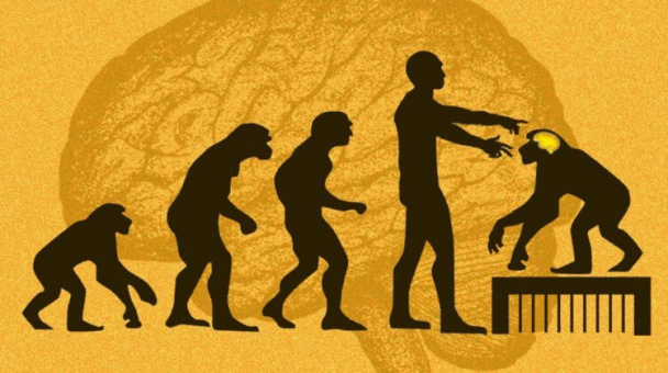 Китайские ученые внедрили гены мозга человека обезьянам. Как думаете, они стали умнее?
