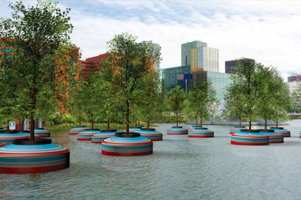 Плавающий лес будет построен в Роттердаме