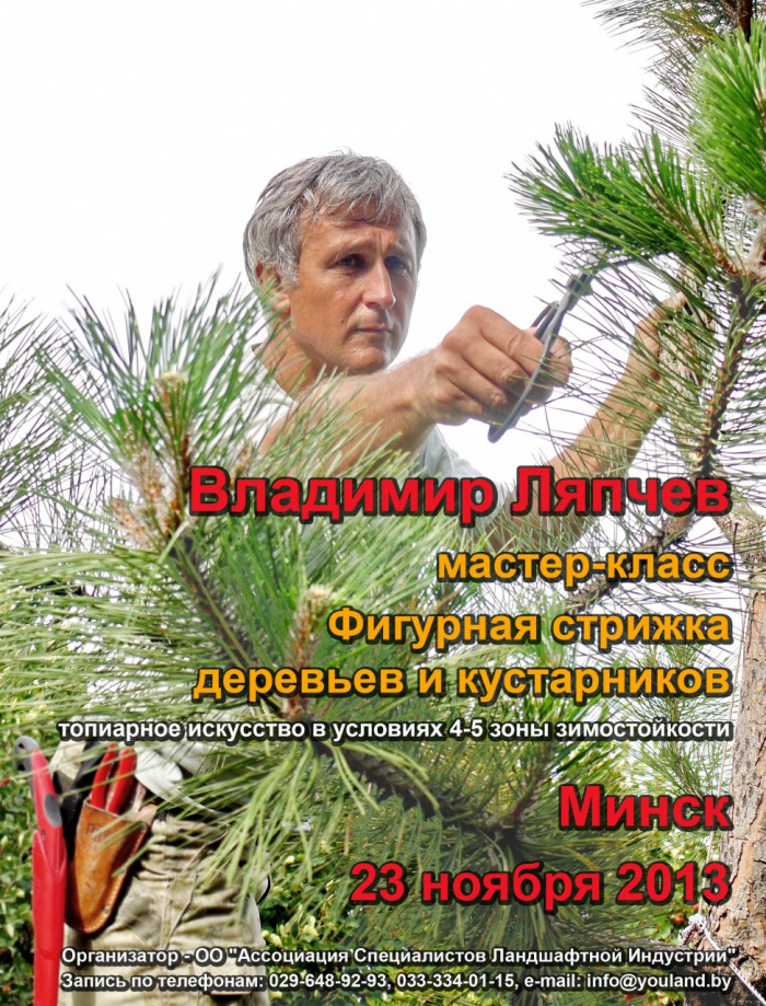 Дерево мастер класс стрижек Дерево мастер класс стрижек
