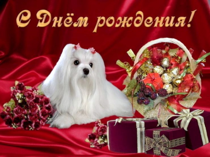 Открытки и фото с днем рождения Открытки и фото с днем рождения