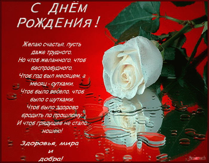 Поздравление по именам нине с днем рождения