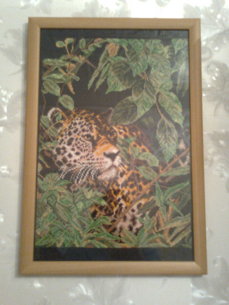 Ягуар в джунглях.