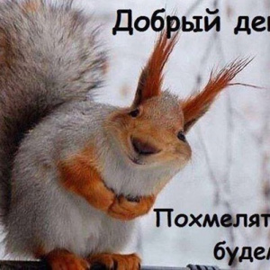 картинки белочка пришла онлайн картинки белочка пришла