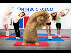 Фитнес с котом. Красивая девушка занимается фитнесом со своим котиком. Фитнес с котом. Красивая девушка занимается фитнесом со своим котиком.