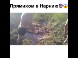 Прямиком в Нарнию Прямиком в Нарнию
