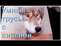 «Умные» трусы с сиреной - защита от насильников? «Умные» трусы с сиреной - защита от насильников?