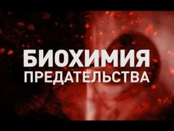 Константин Семин. Биохимия предательства. Константин Семин. Биохимия предательства.