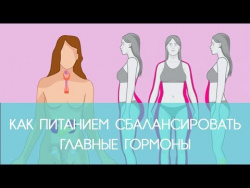 ГОРМОНЫ: Как питанием сбалансировать главные гормоны | ECONET.RU ГОРМОНЫ: Как питанием сбалансировать главные гормоны | ECONET.RU