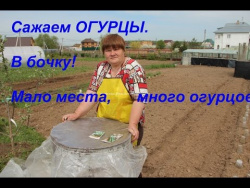 Сажаем огурцы. В бочку! Мало места, много огурцов! Сажаем огурцы. В бочку! Мало места, много огурцов!
