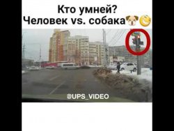 Кто умней Кто умней