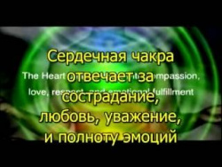 Стать Полноценным Человеком Стать Полноценным Человеком