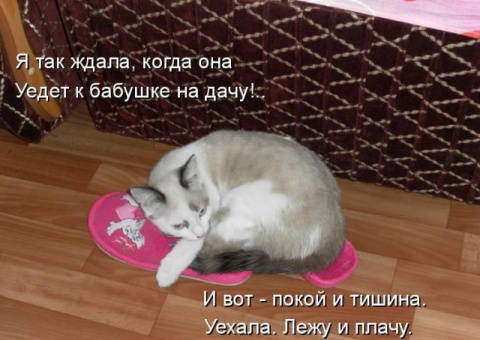 Котенок начал писать на кровать