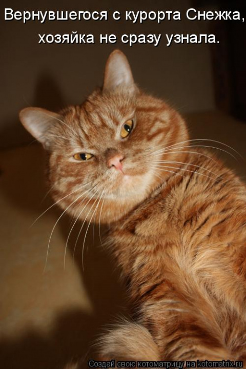 Картинки с надписями вернись