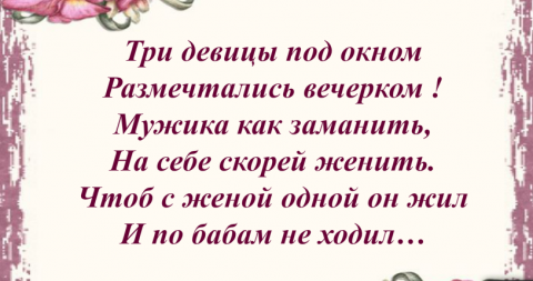 Три девицы под окном пили бражку