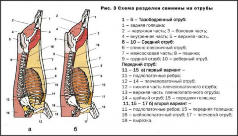 Как разделывать кролика схема