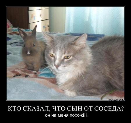 фильм поклонник с дженнифер лопес. сын соседки. стильный сын обнимает маму. общение соседей. родители, сын, сосед.