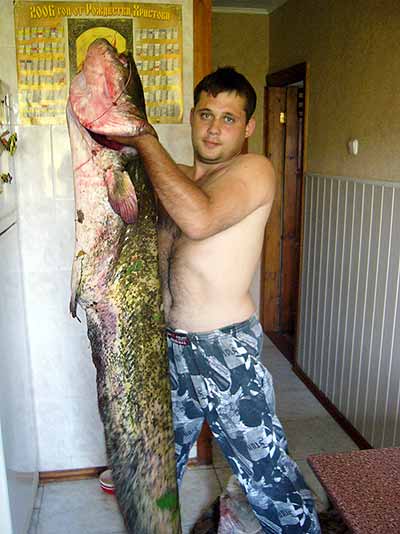 ведущий канала охота и рыбалка. рыбак съел. рыбаки на льдине. за сколько дней 15 рыбаков съели 15 карпов. 6 рыбаков съели 6 судаков за 6 дней за сколько 10.