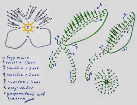 Схема лепестки жасмина крючком