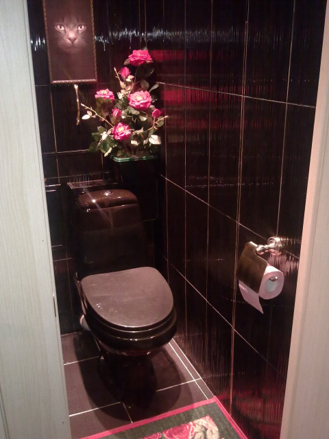 Дизайн туалета с черным унитазом в квартире фото