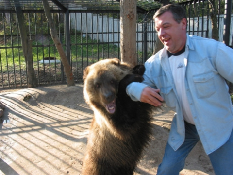Медведи в подмосковье. Медведь напал в Талдомском районе. Медведь в Подмосковье новости. Нападение медведя на человека в Талдомском районе. Нападение медведя в Талдомском районе Московской области.