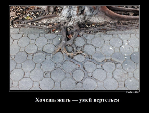 Хочешь жить умей вертеться как. Рисунок к пословице хочешь жить умей вертеться. Хочешь жить умей вертеться как. Хочешь жить умей вертеться пословица. Хочешь житьу мей аертеться.