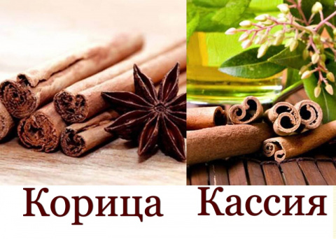 Похожа на корицу. Корица и Кассия. Цейлонская корица. Настоящая корица и Кассия. Корица или Кассия как отличить.