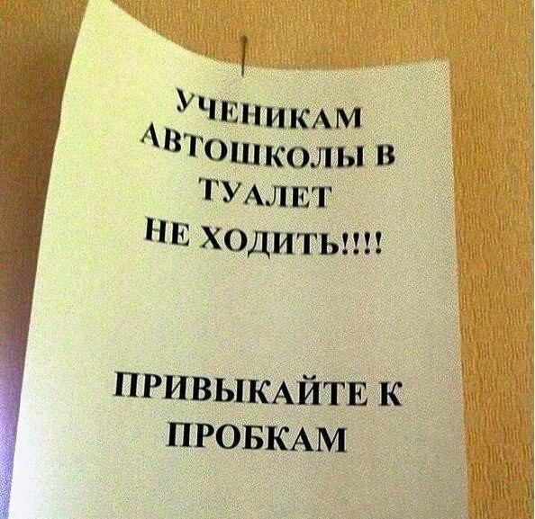 Прикольные картинки для автошколы