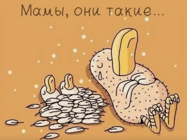 Дню полиции, веселая открытка маме на день мамы