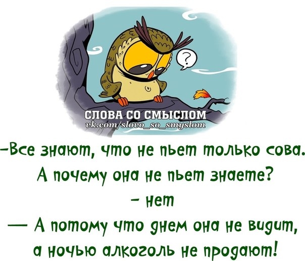 Днем учителя, прикольные картинки о смысле жизни