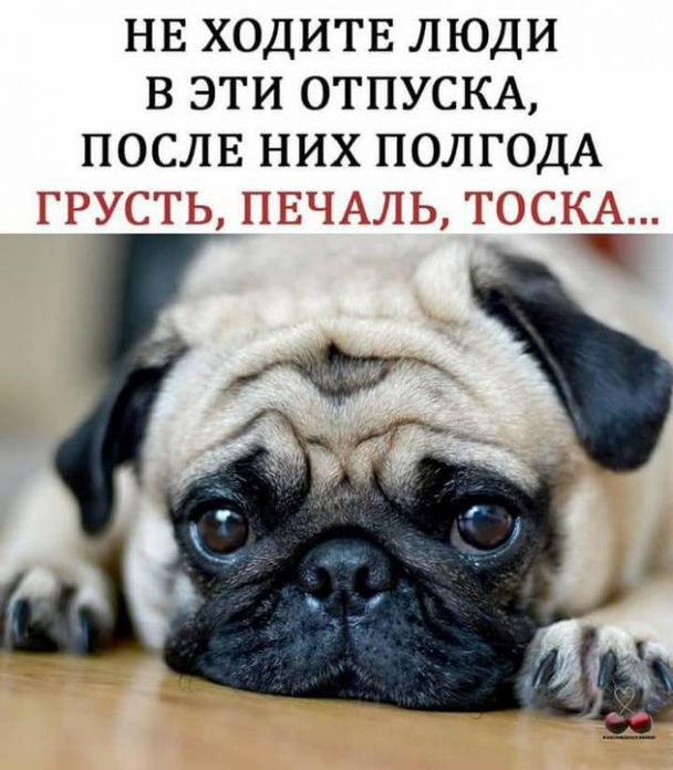 До и после отпуска картинки прикольные, сайт поздравительных открыток