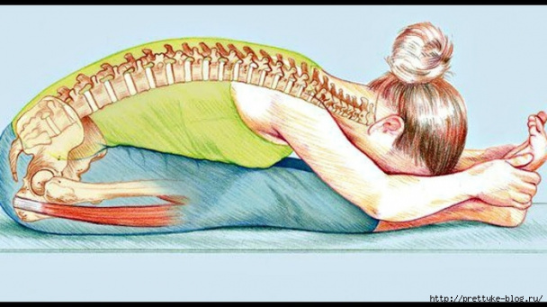 ЗДРАВОТДЕЛ. Пашчимоттанасана поможет при многих недугах