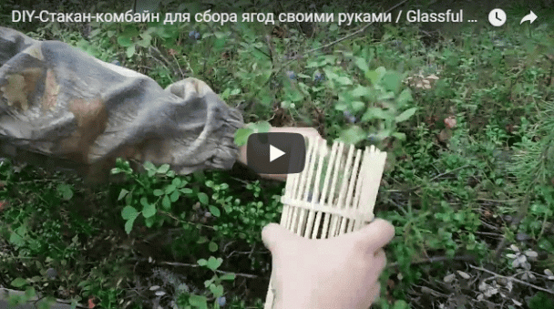 Для сбора ягод своими руками фото 508