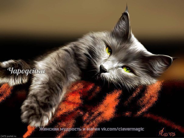 ТЕРЕМОК. Домашние целители